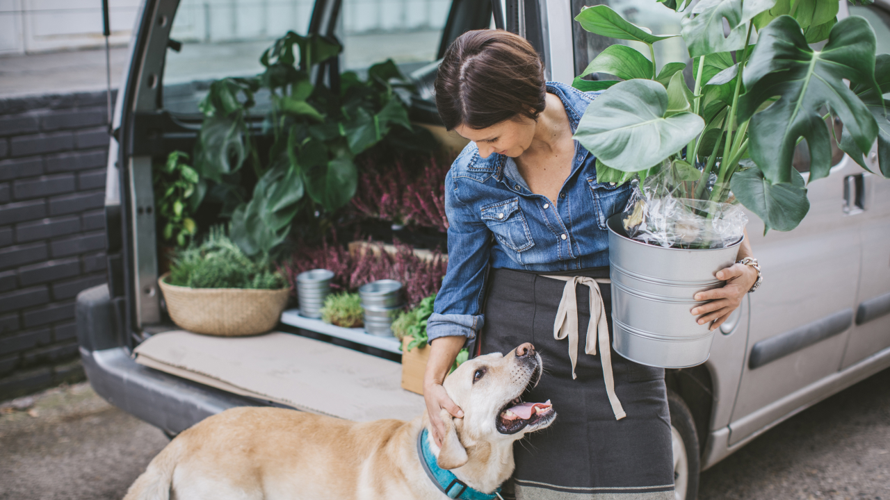 biz-equipment-truck-plant-shop-owner-2025-1280x720